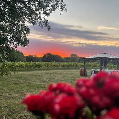 Bordeaux Chateau Lafleur Quinsac  Екстер'єр фото
