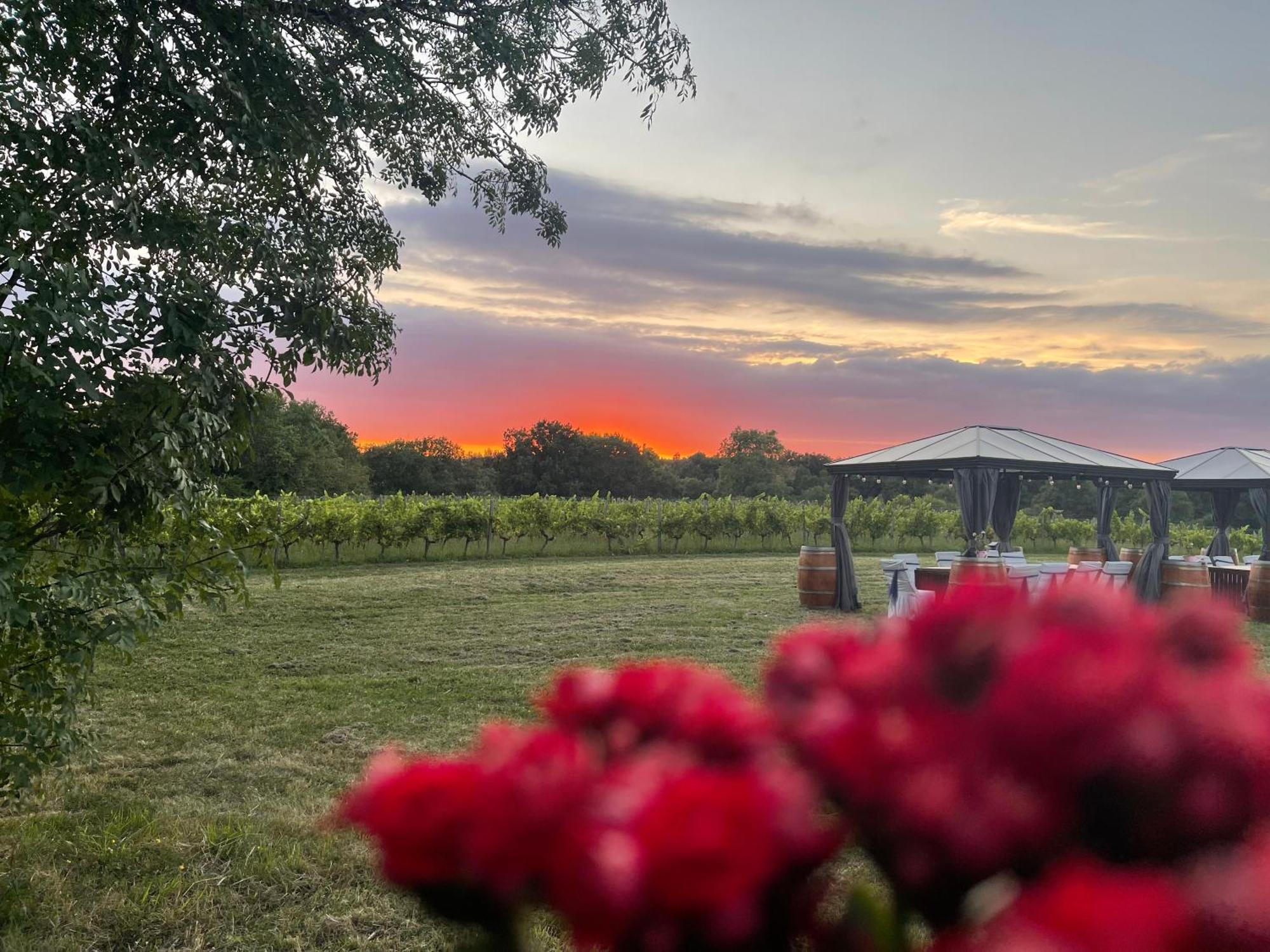 Bordeaux Chateau Lafleur Quinsac  Екстер'єр фото